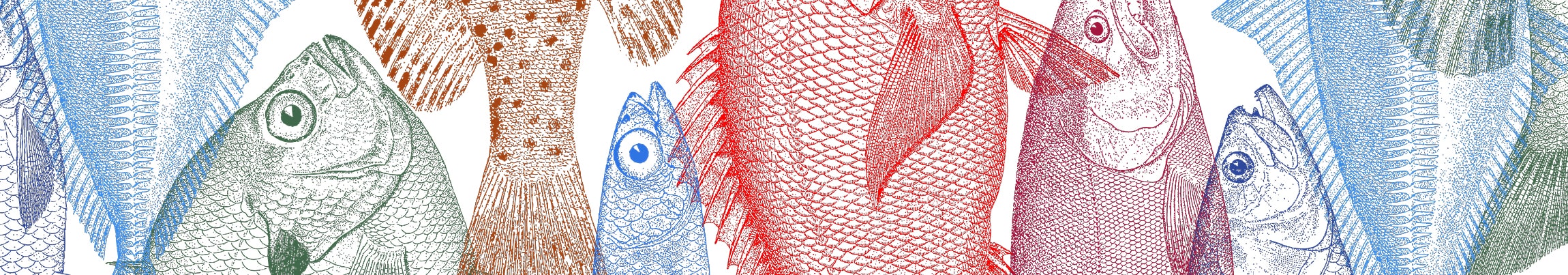 Motif de poissons colorés