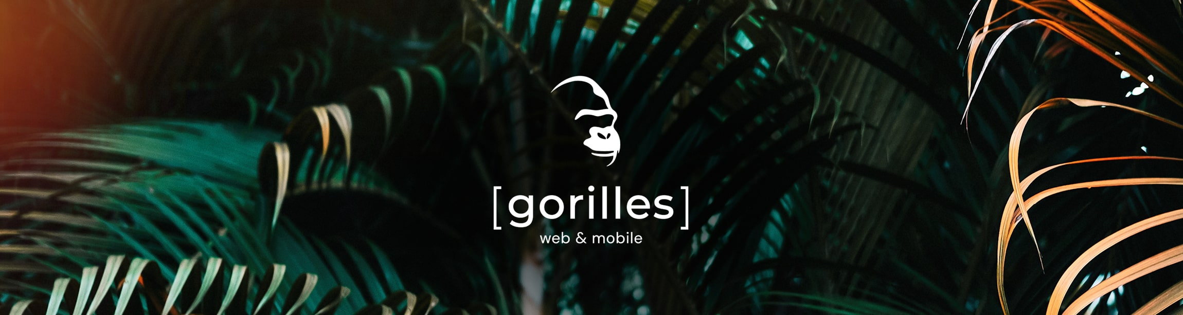 Logo Gorilles sur visuel de jungle