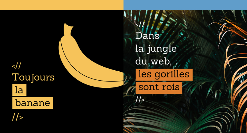 2 Visuels à message pour Gorilles qui dit "Toujours la banane" et "Dans la jungle du web, les gorilles sont rois"