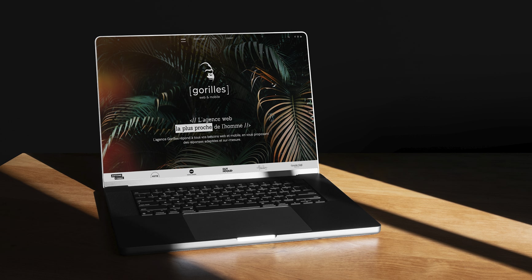 Home page du site pour Gorilles