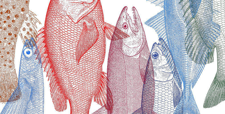 Motif de poissons colorés